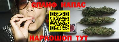 гашик Севастополь